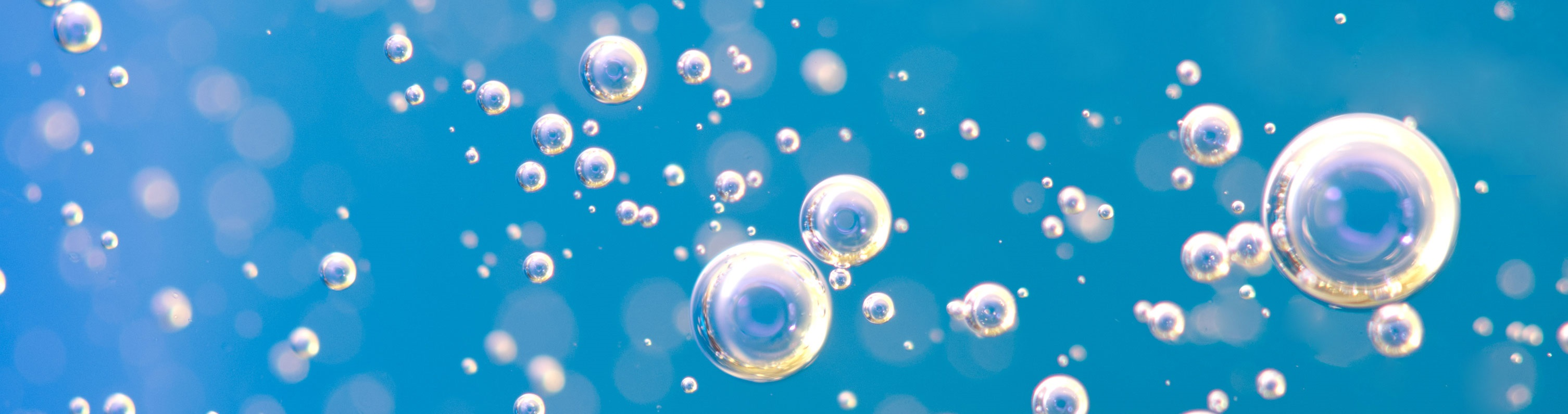 SOAP2 top banner